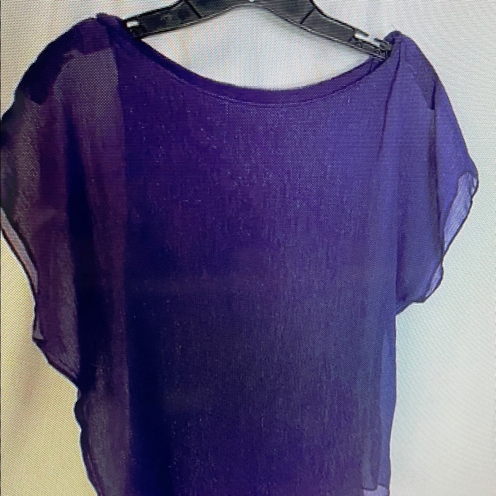 Elegant Purple Sheer Women's blouses